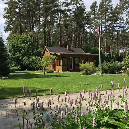 Forest House With Outdoor Hot Tub Jūrkalne 외부 사진